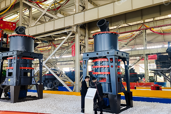 贵州安顺时产5吨生石灰磨粉生产线-上海科利瑞克机器有限公司